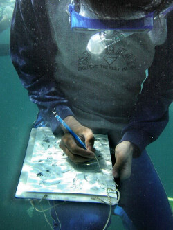 underwater scientists