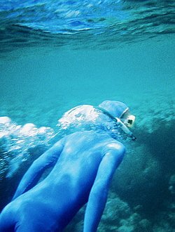 Lycra stingersuit snorkeling underwater